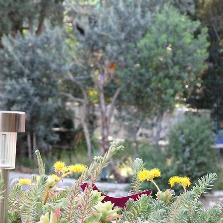 Guesthouse Marileo سبليت المظهر الخارجي الصورة